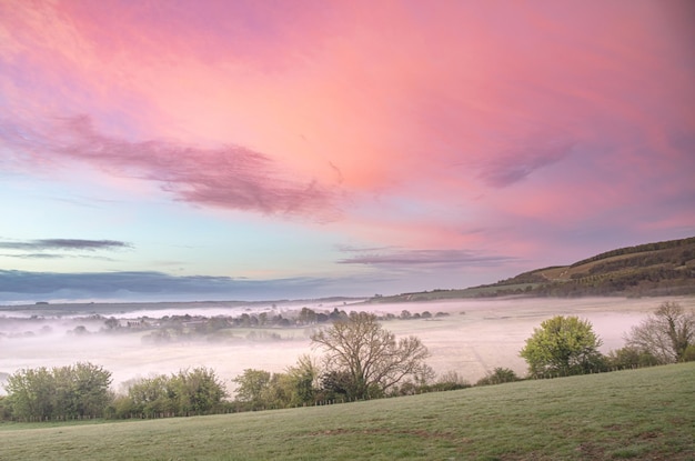 Free photo fog covering the field against the purple sky at sunset