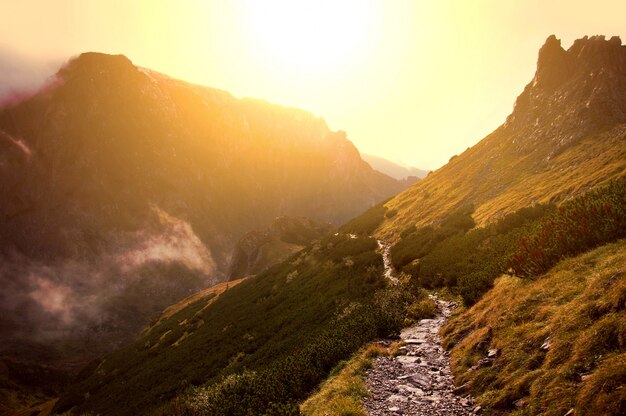 Fog in mountains.