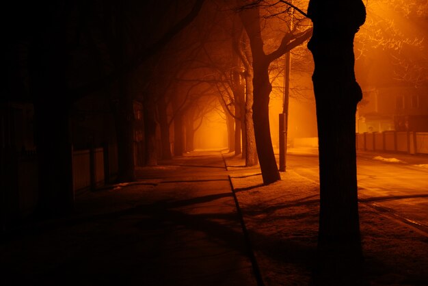 Free Photo foggy autumn night