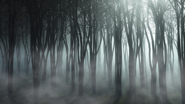 foggy forest landscape