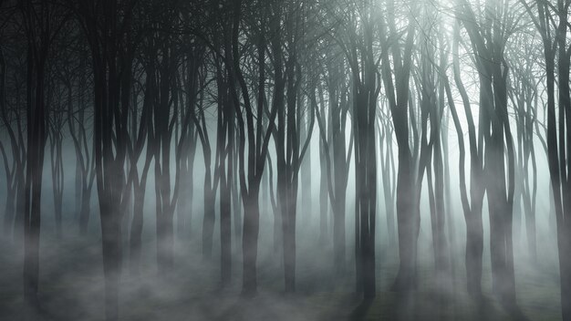 туманный лесной пейзаж