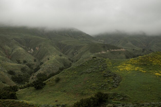 霧の緑の山々の背景の風景写真