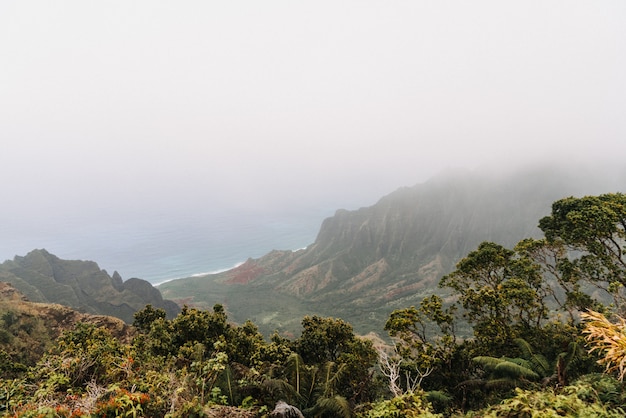 米国ハワイの霧のkōkeʻe州立公園