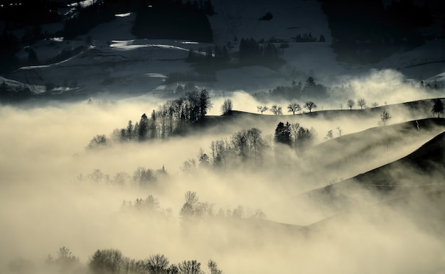 Free photo foggy and misty landscape