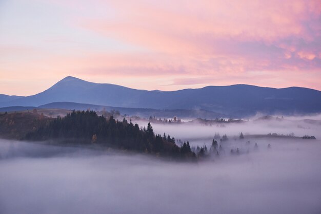 秋の季節のウクライナのカルパティア山脈の霧の朝。