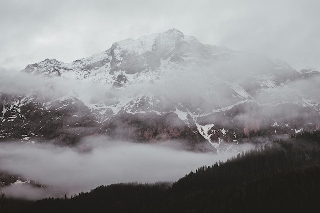 霧の山