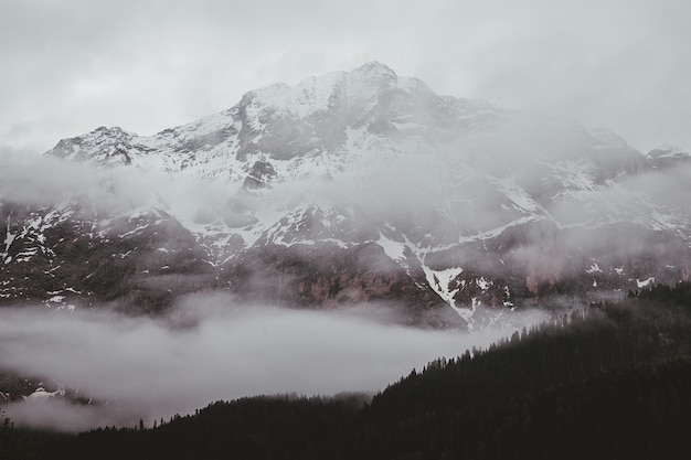 Туманная гора