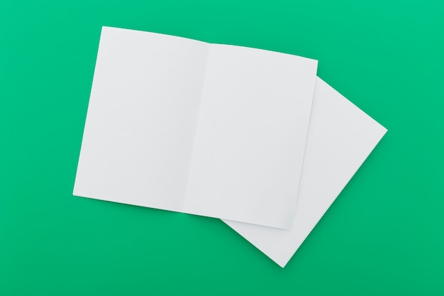 Folded blank brochures
