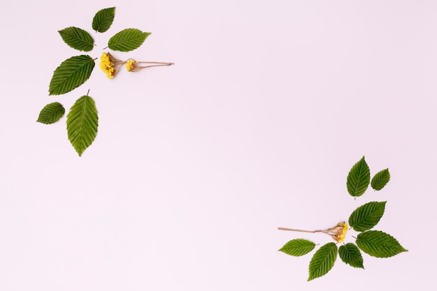 Foliage design with flowers and leaves