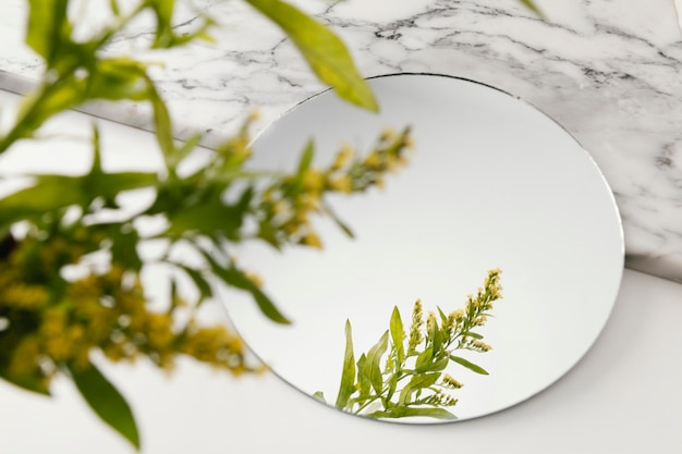 Бесплатное фото Отражение листвы в зеркале