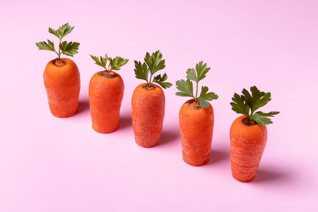 Gruppo di concetto di cibo con le carote