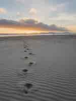 Free photo foot prints in gray sand