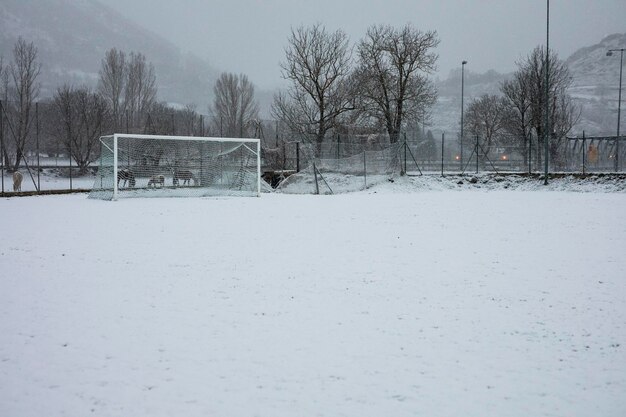 Footbal Snow