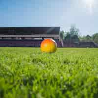 Foto gratuita calcio in stadio