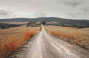 Free photo footpath in the countryside, tuscany, italy