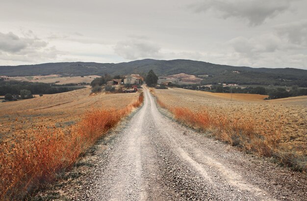 footpath in the countryside, tuscany, italy