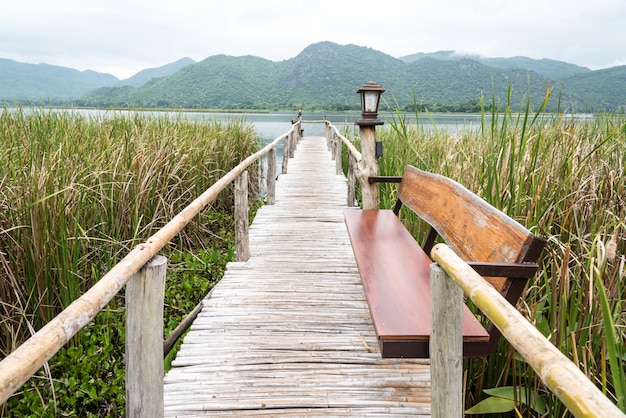 footpath to the nature