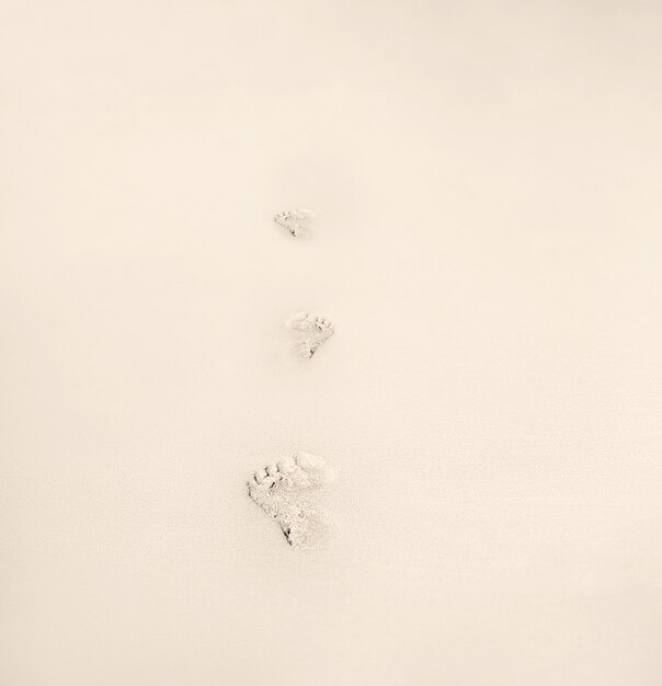 footprints in the sand on the beach