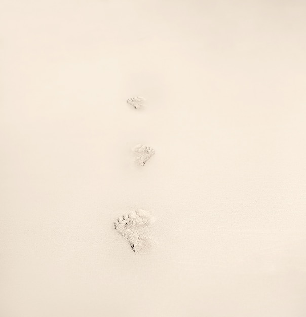 footprints in the sand on the beach