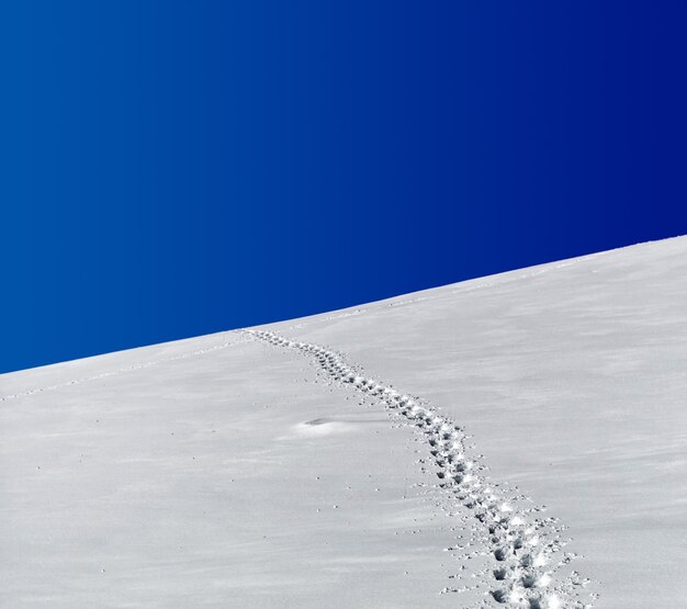 青い空の下の雪原の足跡