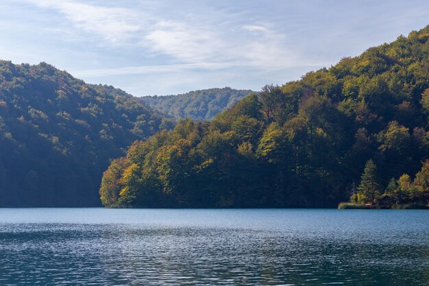 크로아티아의 플리트 비체 호수 근처 언덕에있는 숲