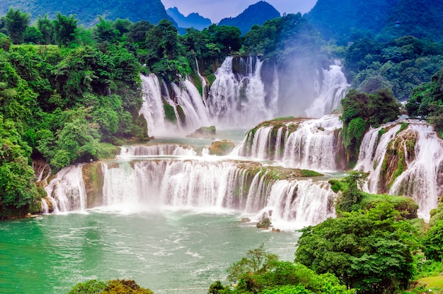 forest landscape flow waterscape jungle tourism