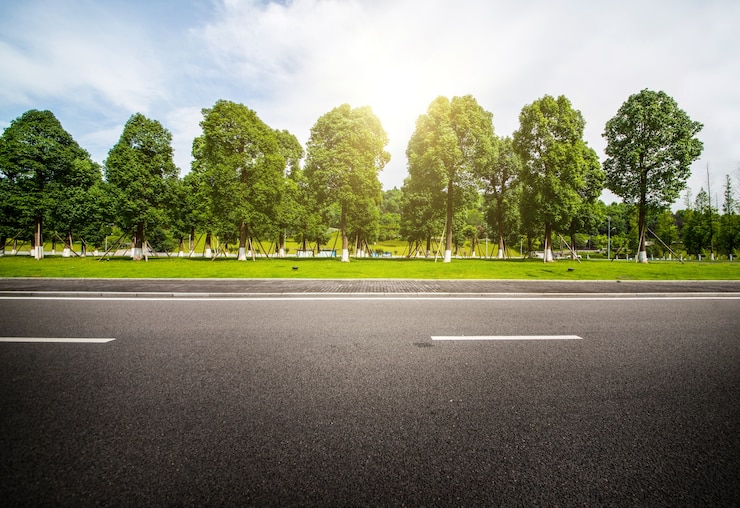 Free Photo forest road