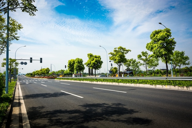 Forest road