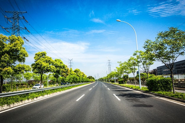 Forest road