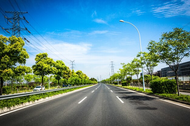 Forest road