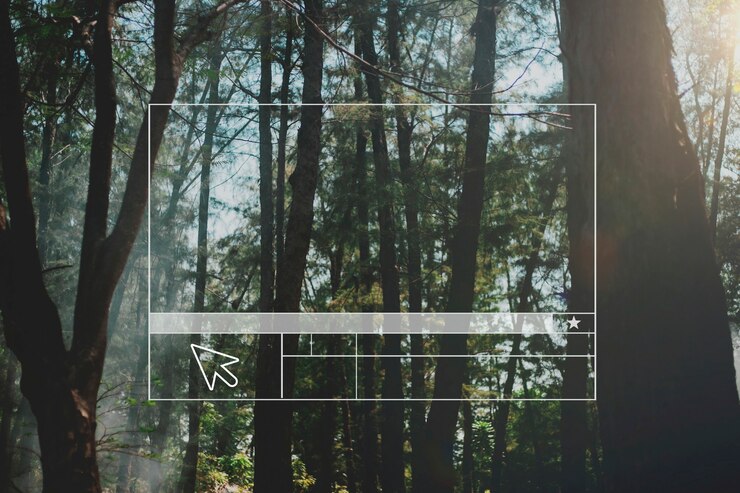 Free Photo forest website layout blank banner