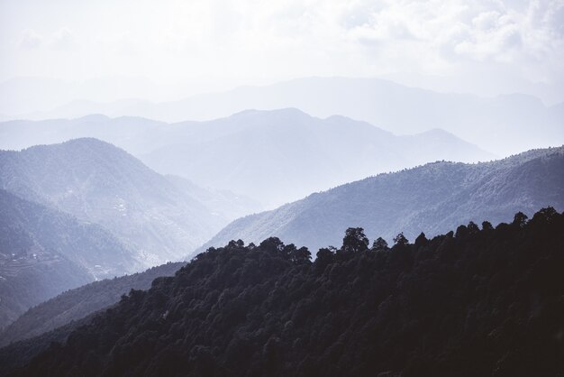 曇り空の下で神の森に覆われた山