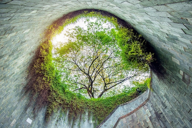 Fort Canning Park, Singapore.