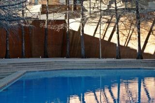 Fort Worth Water Gardens Trees Photo Free Download
