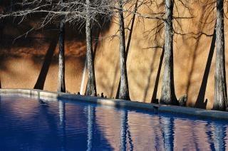 Fort Worth Water Gardens Photo Free Download