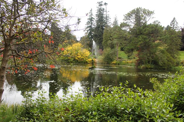 Fountain in the lake