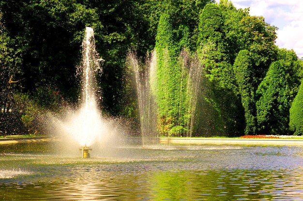 Fountain with jets