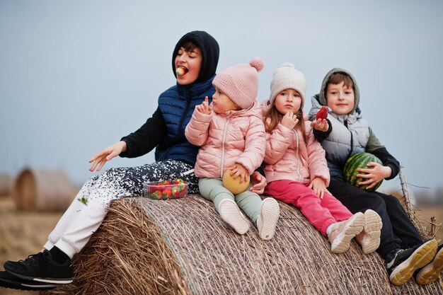 フィールドで干し草のコックに座っている手に果物を持つ4人の子供