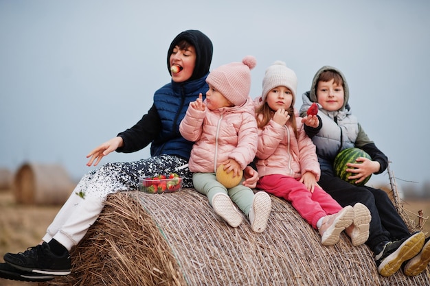 Four kids with fruits in hands sitting on haycock at field