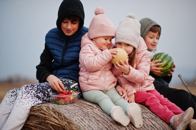 Four kids with fruits in hands sitting on haycock at field