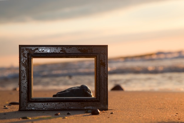 Frame in a beach