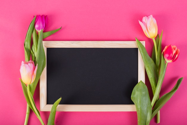 Free photo frame blackboard around tulips