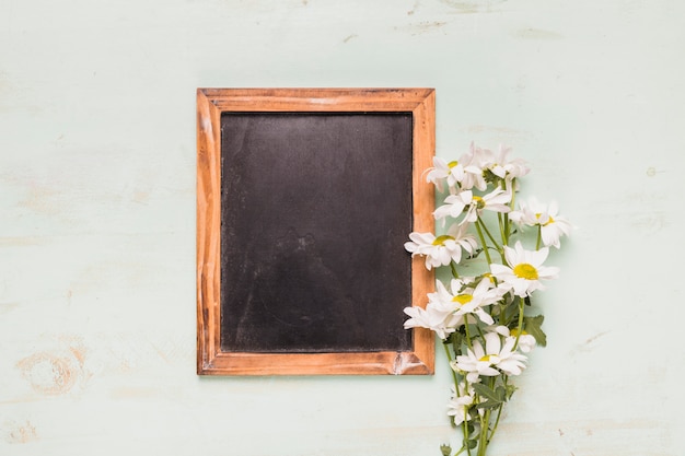 Frame blackboard with camomiles