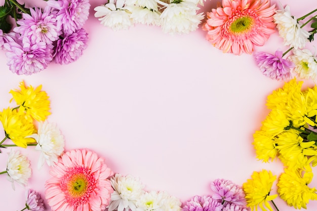 Free photo frame of bright fresh flowers