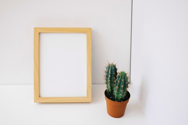 Frame and cactus