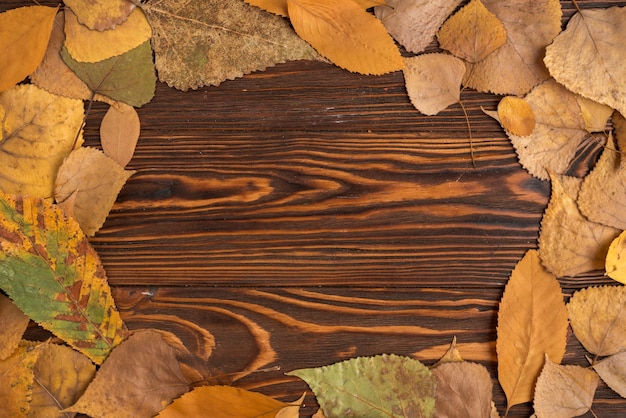 Frame composition of autumn fallen leaves