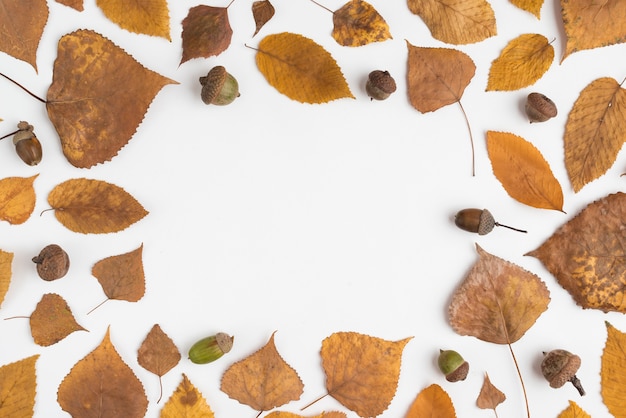 Free photo frame composition with fallen leaves and acorns