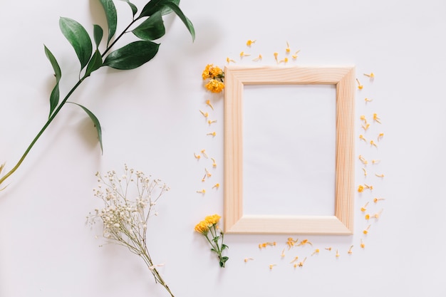 Free photo frame and flowers