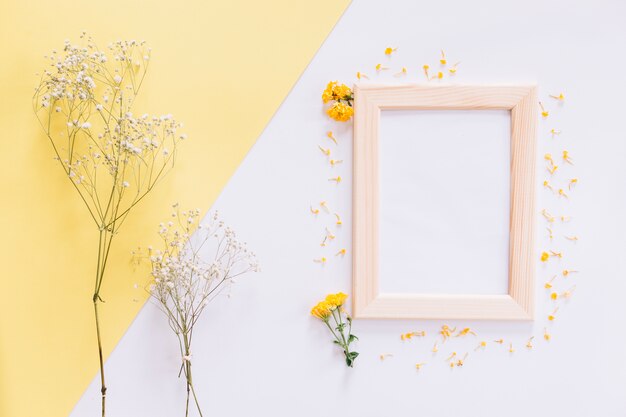 Frame and flowers