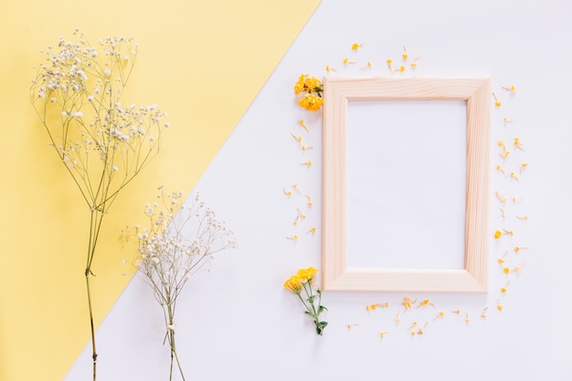 Frame and flowers